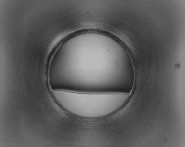 X0000093400927200710120853