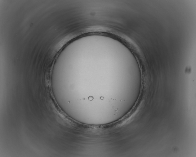 X0000093400929200710120853