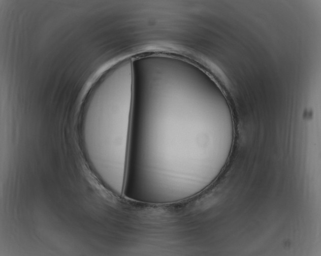 X0000093400931200710120853