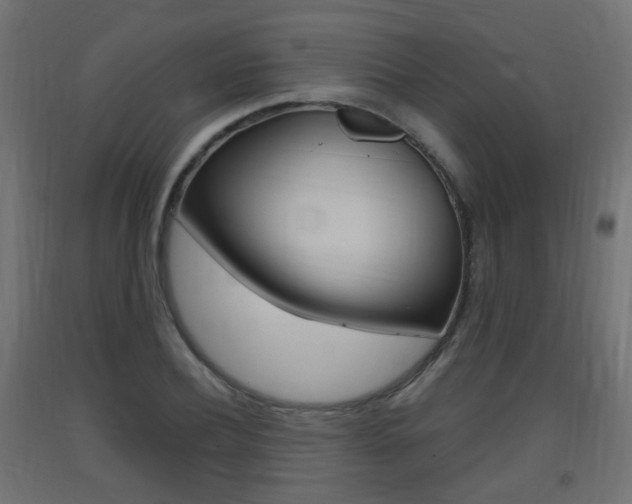 X0000093400932200710120853