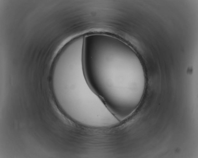 X0000093400934200710120853