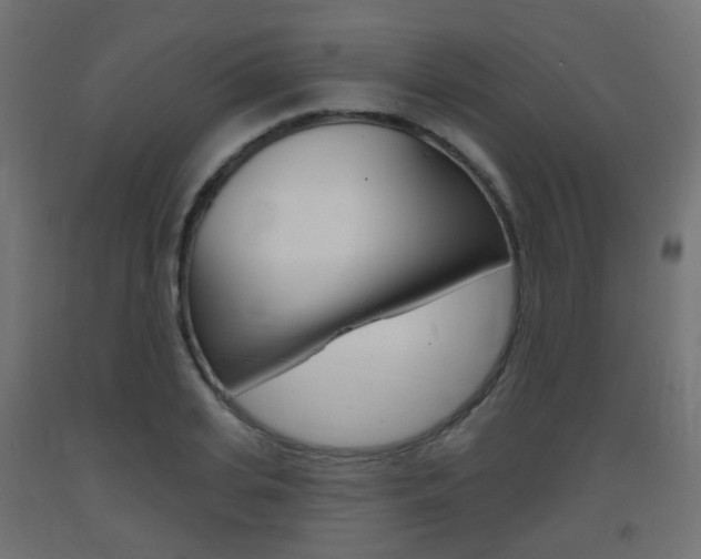 X0000093400935200710120853