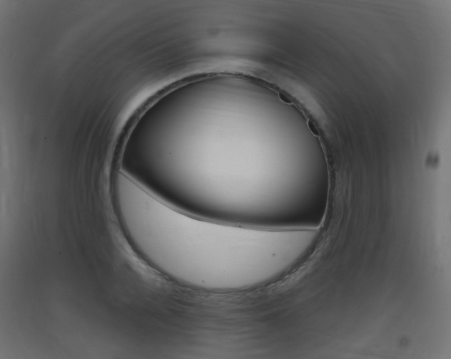 X0000093400936200710120853