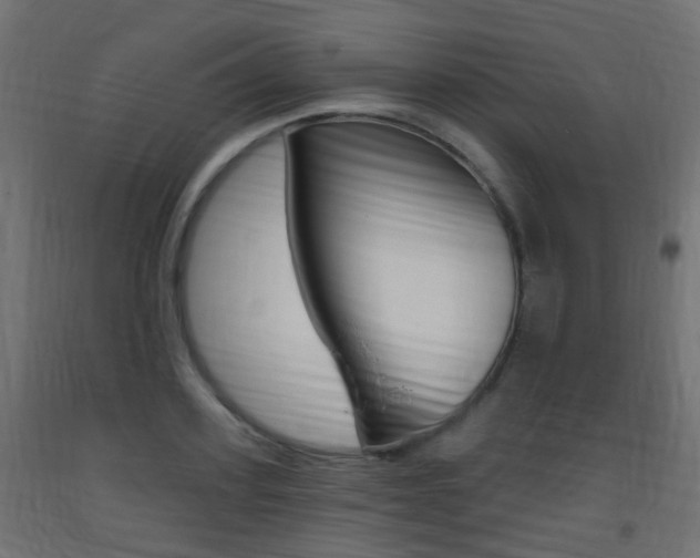 X0000093400939200710120853
