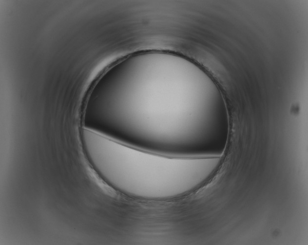 X0000093400942200710120853