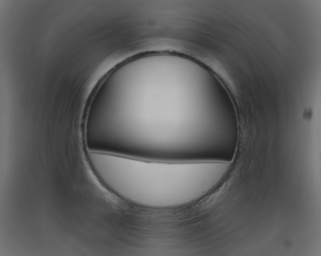 X0000093400943200710120853