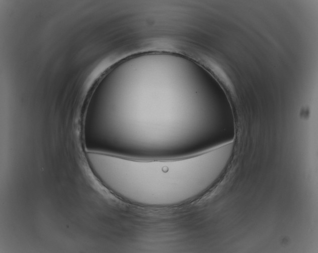 X0000093400944200710120853