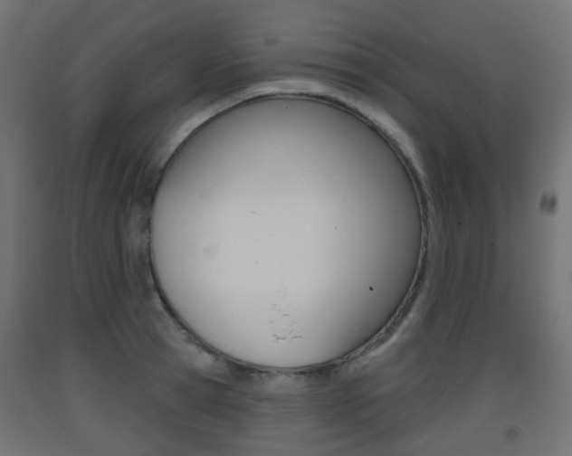X0000093400945200710120853