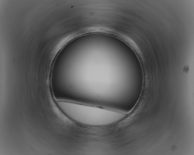 X0000093400946200710120853