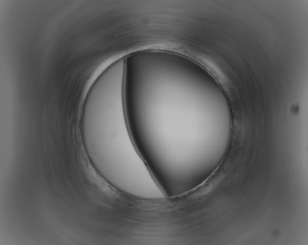 X0000093400948200710120853