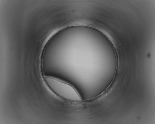 X0000093400949200710120853