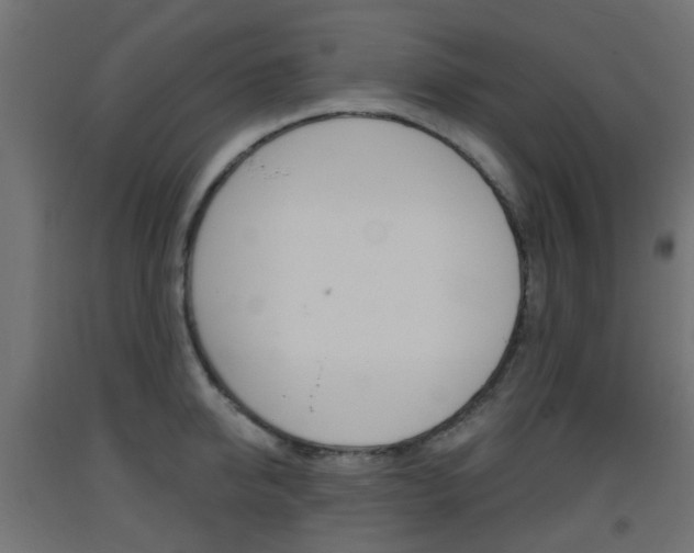 X0000093400950200710120853