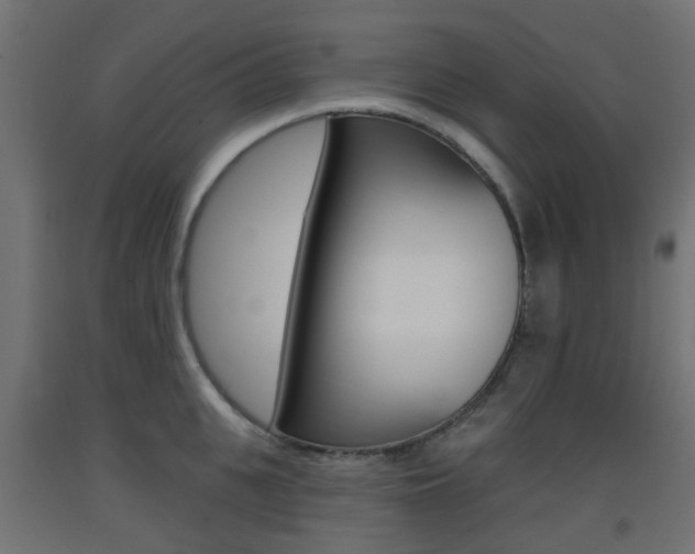 X0000093400951200710120853