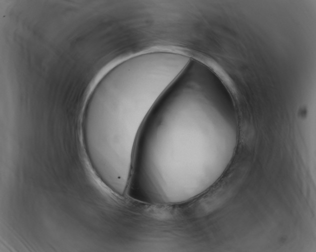 X0000093400955200710120853