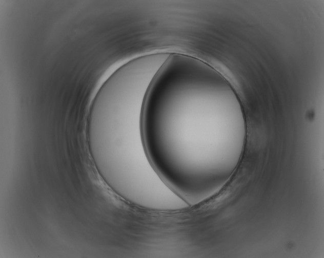 X0000093400956200710120853