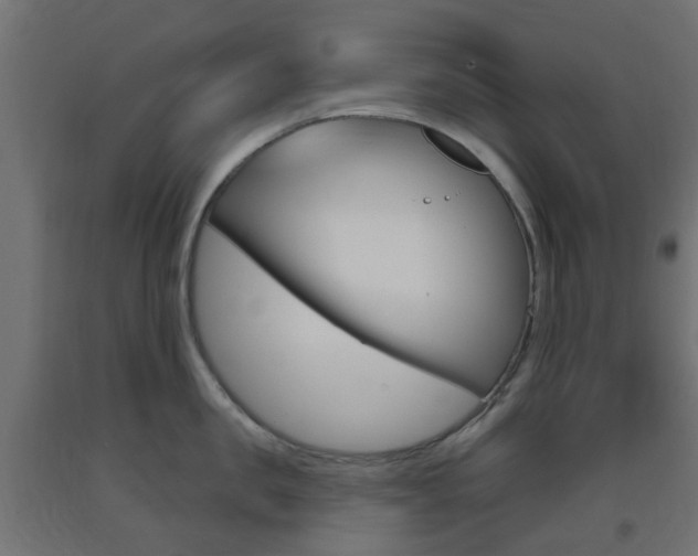 X0000093400957200710120853