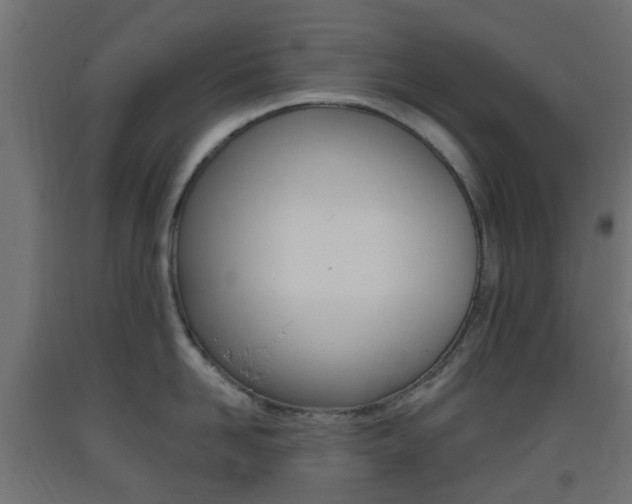 X0000093400958200710120853