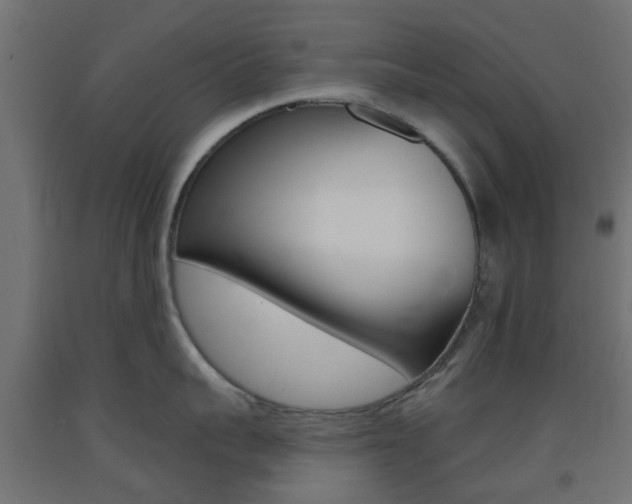 X0000093400959200710120853