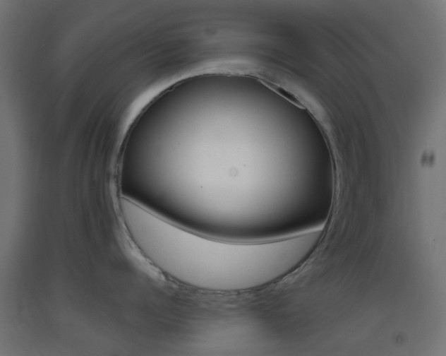 X0000093400960200710120853