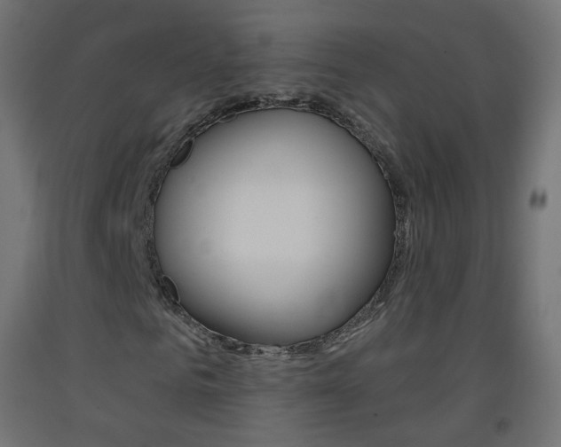 X0000093400961200710120853