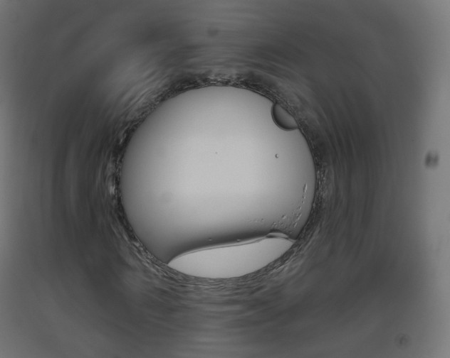 X0000093400962200710120853
