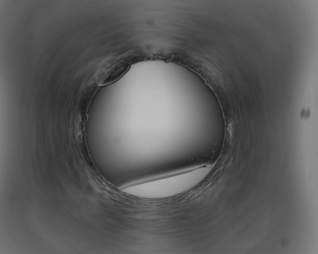 X0000093400963200710120853