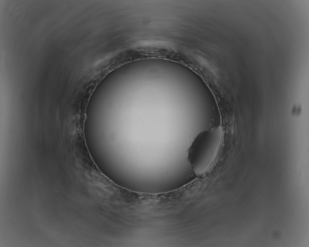 X0000093400965200710120853