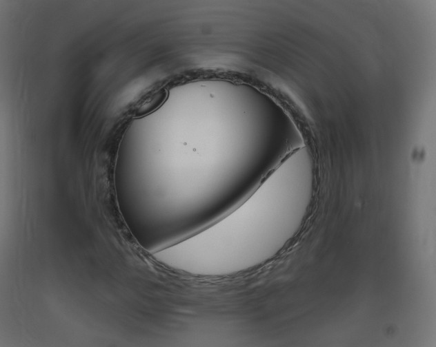 X0000093400968200710120852