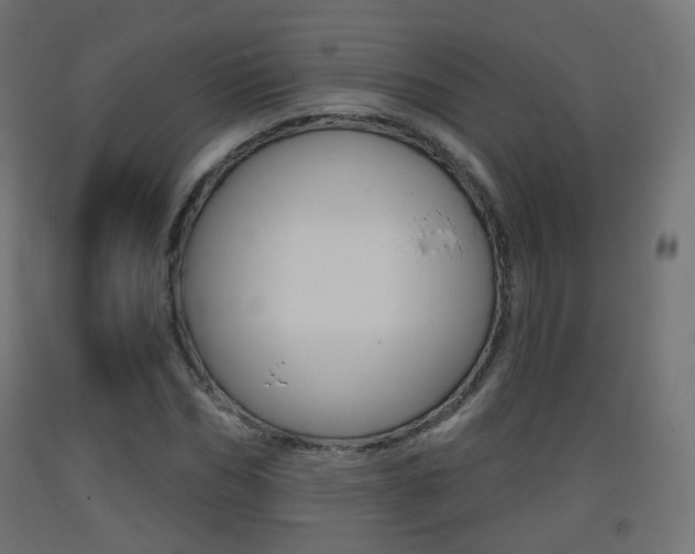 X0000093400970200710120852