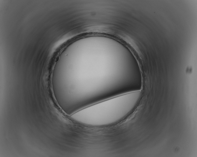 X0000093400971200710120852