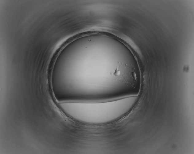 X0000093400972200710120852