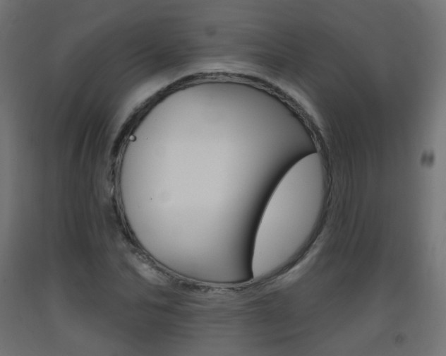 X0000093400974200710120852
