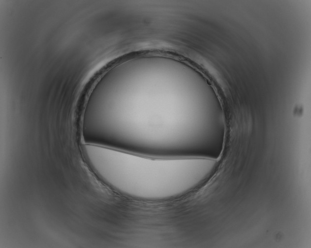 X0000093400975200710120852