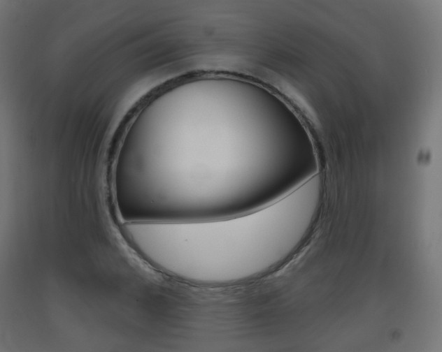 X0000093400976200710120852