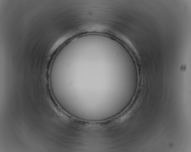 X0000093400978200710120852