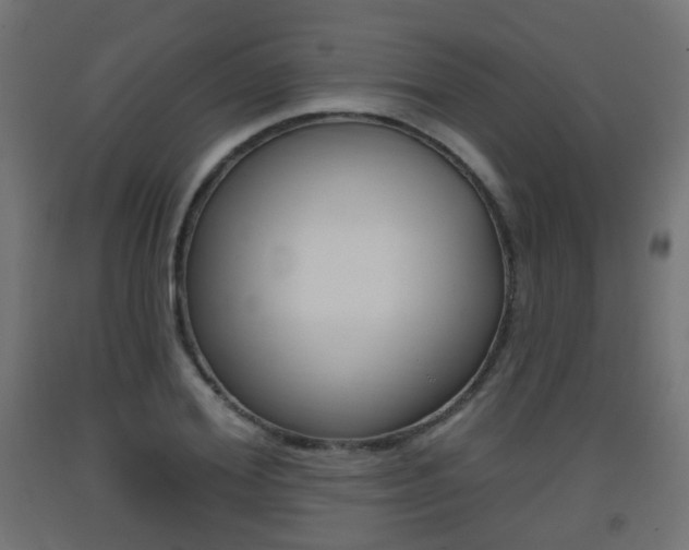 X0000093400980200710120852
