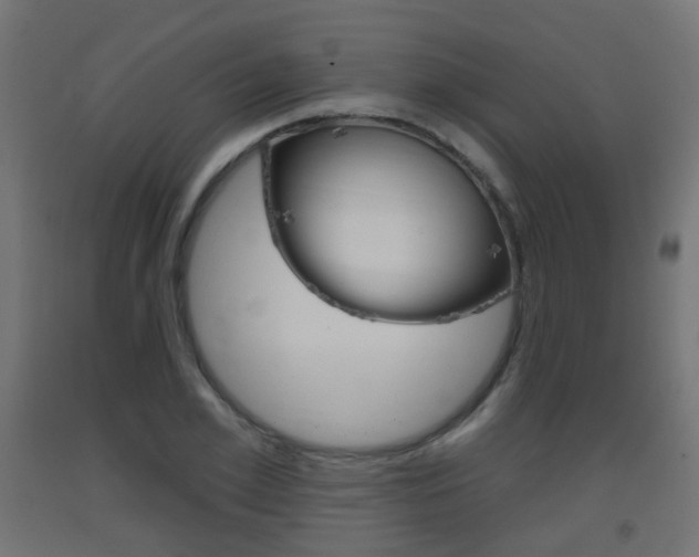X0000093400981200710120852