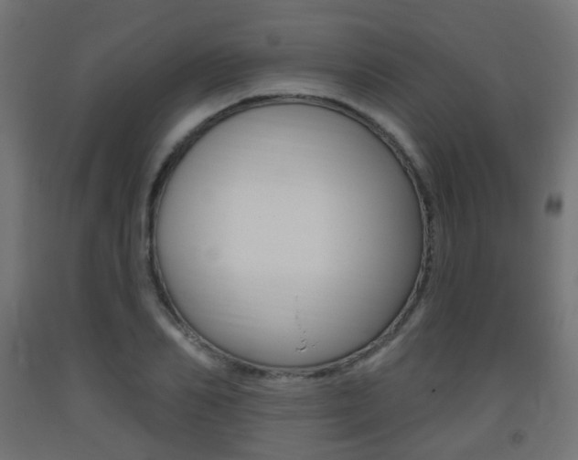 X0000093400982200710120852