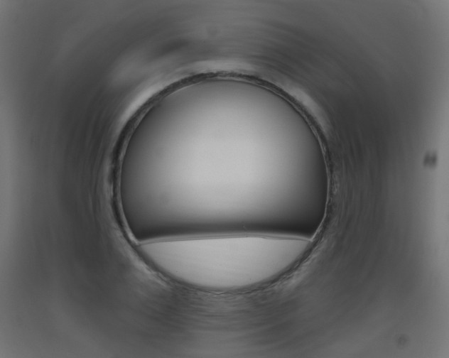 X0000093400983200710120852