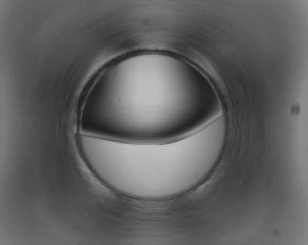 X0000093400984200710120852
