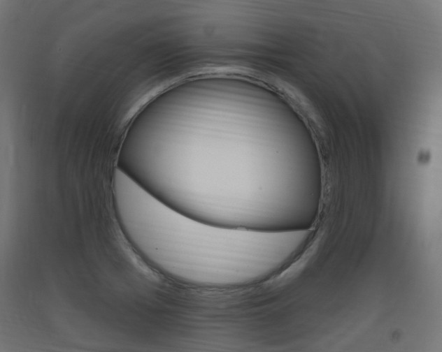 X0000093400985200710120852