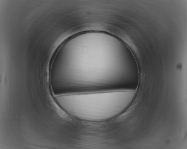 X0000093400988200710120852