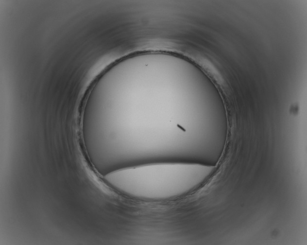 X0000093400990200710120852