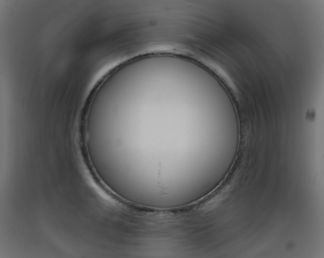 X0000093400991200710120852