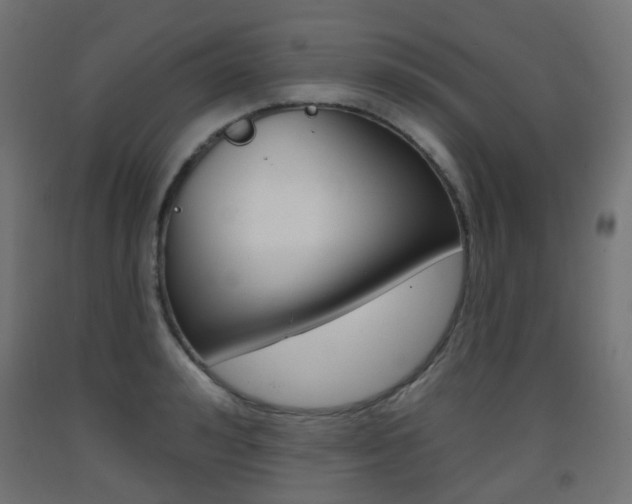 X0000093400992200710120852
