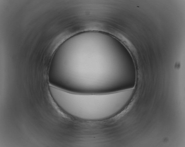 X0000093400993200710120852