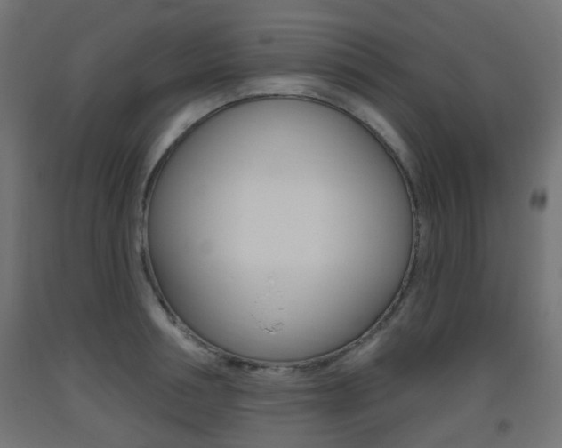 X0000093400994200710120852