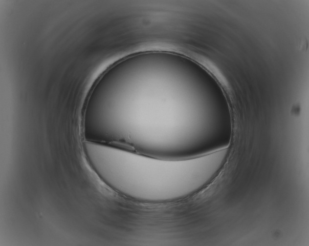 X0000093400996200710120852