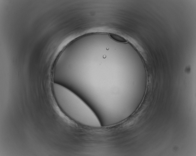 X0000093400998200710120852