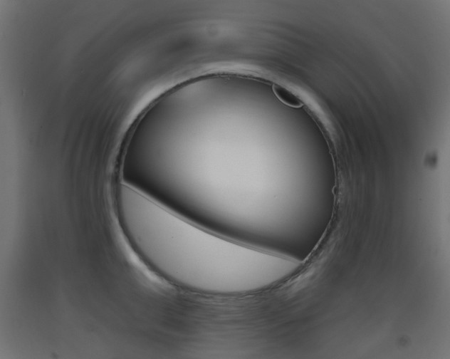 X0000093400999200710120852